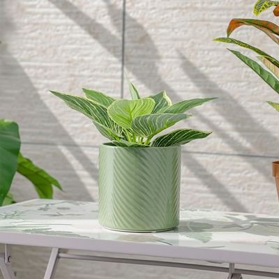 Ceramic Leaf Pot- Green 13X13X13 Cm