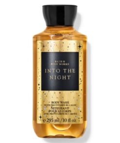 Bath & Body Works Into The Night Body Wash