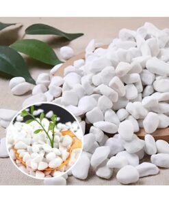 ARABIQO 2.5lbs White Natural River Rocks, 1-2 inch Decorative Stones for Plants, Garden Landscaping, Vases, Aquarium, Crafts & Home Décor, Smooth White Pebbles for Indoor & Outdoor Use