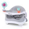 TEKNUM Portable Booster Chair With 3-point Safety Belt - Grey