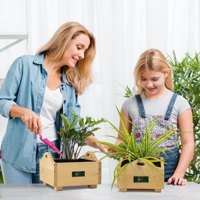 Treasure wooden planterbox - 22 cm x 22 cm x 12 cm, grow herbs on kitchen platform, Decorative Planters for Home, Garden and Office - Image 5