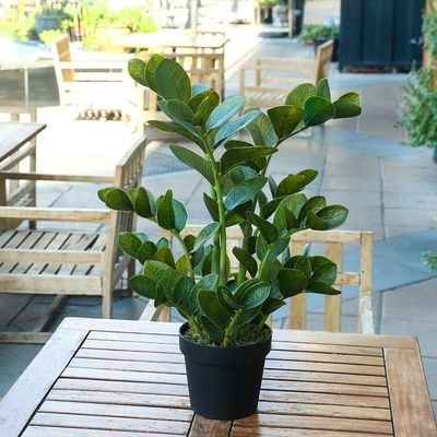Artificial Zamioculcas Plant 75CM - Image 5