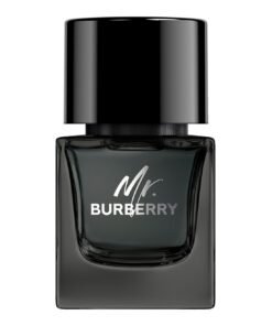 Mr. Burberry - Eau de Parfum