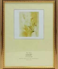 DECORHILLS FRAMES & DECOR Classic Gold Border Design Photo - Elegant Home and Memorable Gift, 12x16 Inch
