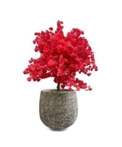 Cherry Blossom-150×120×120CM-Red Artificial Tree