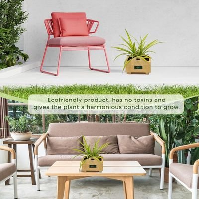 Treasure wooden planterbox - 22 cm x 22 cm x 12 cm, grow herbs on kitchen platform, Decorative Planters for Home, Garden and Office