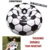 TNGames Official World Cup Edition Inflatable Soccer Sofa (105x70cm) | 3D Textured Design | Creative Home Decor/Fan Gift | Rapid Inflation | Thickened, Durable & Tear-Resistant