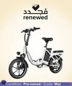 Wind Horse Renewed - W2 B Electric Bike