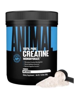 UNIVERSAL NUTRITION Animal Micronized Creatine Monohydrate Muscle Building & Recovery Unflavored 300g