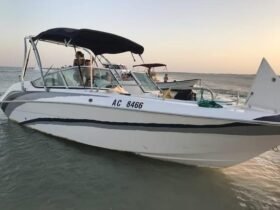 SEALINE Hannibal 700 2024 - Image 3