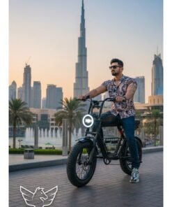 Alternative view of Wind Horse Electric Bike 1000W Motor Power, 48V 21AH Battery, 60 KM/H Max Speed, 20 Inches Fat Tires with Hydraulic Brakes and 80 KM Range in One Charge Off Road E-Bike