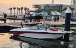 Alternative view of RINKER 216 Br 2015