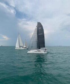 DRAGONFLY 28 Performance 2019