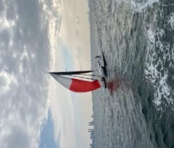 Alternative view of DRAGONFLY 28 Performance 2019