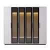DANUBE HOME Akira 6 Door Wardrobe With 4 Glass Door and LED | Sturdy Closet Clothes Storage Cupboard | Modern Design Space Saving Swing Door Cabinet For Bedroom L240xW60xH214.7cm-L.Grey