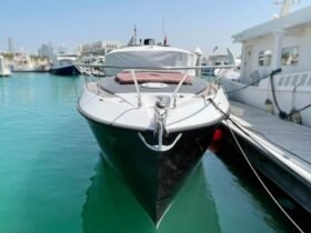 AL SHAALI 40 Warrior 2020 - Image 3