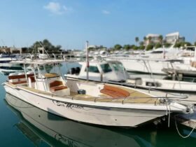 CUSTOM CRAFT Al Hareb Marine Seamaster 41 2006 - Image 3