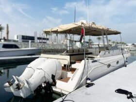AL SHAALI Marine Eagle 37 2012 - Image 2