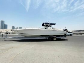 AL DHAEN 36 Sf 2009 - Image 2