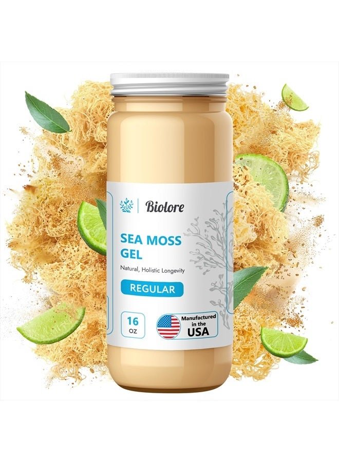 Biolore Wildcrafted Sea Moss Gel - Supercharge Health with Irish Seamoss - with Essential Vitamins & Minerals - Antioxidant-Rich Vegan Superfood for Immune Support, Energy (Original, 16 oz)