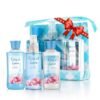 Vital Luxury Bath  Body Care Travel Set  Home Spa Set with Body Lotion Shower Gel and Fragrance Mist Personal Body Care Travel Set City of Love