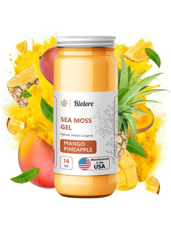 Biolore Sea Moss Gel Mango-Pineapple 16Oz Made in USA - Supercharge Your Health Raw Wildcrafted Irish Seamoss - Essential Vitamins & Minerals - Antioxidant-Rich Vegan Superfood for Immune Support