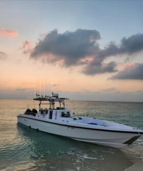 CUSTOM 39 Feet 2022 - Image 2