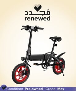 Wind Horse Renewed - Folding Electric Bike