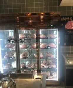 Angus Beef Dry Ager Curing Display Refrigerator 3-Door Glass Meat Dry Aging Cooler LED Light Air Cooling Single-Temperature