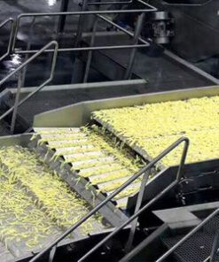Frozen French Fries Plant Equipment Processing Plant Machinery Making Machine Line