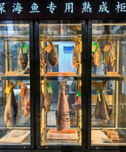 Deep Sea Fish Dry Aged Cabinet Air Cooler Display Showcase Refrigerator with Glass Door for Meat Storage
