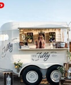 New Style Candy Flower Cart Mobile Kitchen Hot Dog Pizza Trailer Outdoor Ice Cream Truck Mobile Bar Horse Food Trailer
