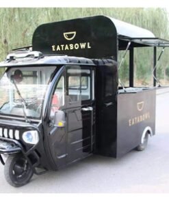 Super Performance Ice Cream Trike Electric with Low Investment