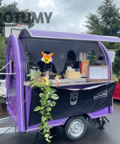 Customizable Mini  Ice Cream Fruit Food Trailer