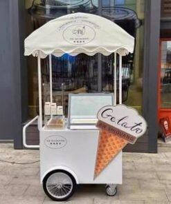 Compact Mini Ice Cream Dessert Push Cart Large Storage Weather Canopy Mobile Park Beach Vending Business Food Trailer