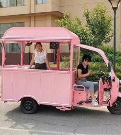 Multi-functional Electric Three-wheeled Snack Cart Mobile Barbecue Cart and RV
