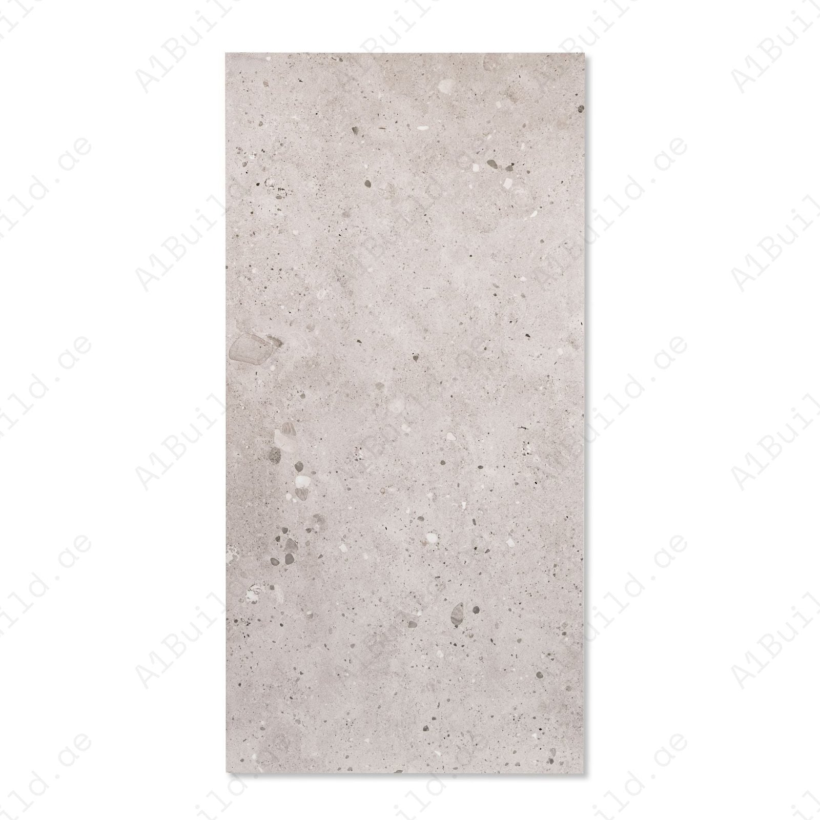 Sparkle Roman Sand Stone Look Porcelain Tile 60x120cm | 09mm