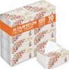 SNH Packing Al Fajr Fluffy Facial Tissue Pack of 10, 600 Sheets × 2 Ply Total 6000 Sheets