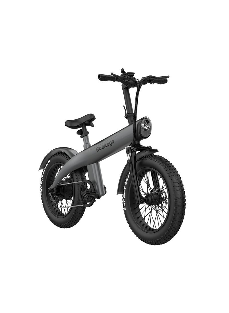 Goaltage EBK01 EcoMotion Electric Bike including Rechargeable Battery, 7-Speed Motor with Front and Rear Shock Absorber, Brake, and Light - Image 3