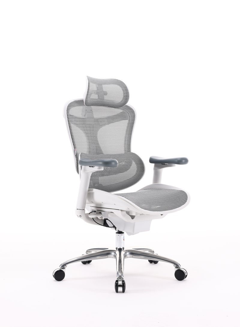 SIHOO Doro C100-B101 Ergonomic Gaming/Office Chair with Ultra Soft 3D Armrest, Dynamic Lumbar Support, Adjustable Backrest, Swivel, Light Grey - Image 2