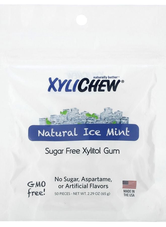 XyliDENT Xylichew Natural ice Mint 50 Pieces 2.29 oz (65 g)