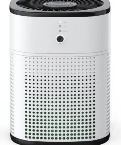 ibsun Air Purifiers for Bedroom, Room Air Purifier HEPA Filter for Allergies, Pet Dander Odor with Fragrance Sponge, Small Air Purifier with 24db Sleep Mode