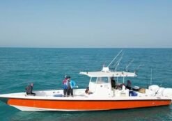 Alternative view of CUSTOM 41 Feet 2017