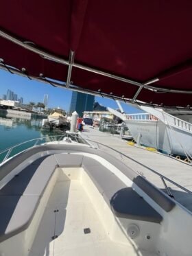 AL MARAKEB Triton 35 2012 - Image 5