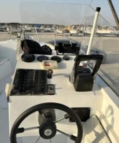 Alternative view of CUSTOM 29 Feet 2009