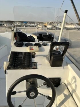 CUSTOM 29 Feet 2009 - Image 2