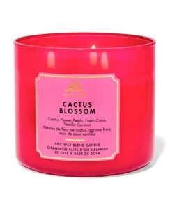 Bath & Body Works Cactus blossom 3-wick Candle