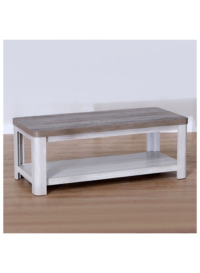 DANUBE HOME Olivos Coffee Table With Shelf Multi Functional Living Room Desk Space Saving Center Table Furniture For Home Living Room L 120 x W 54 x H 45 cm Ash Grey / Oak