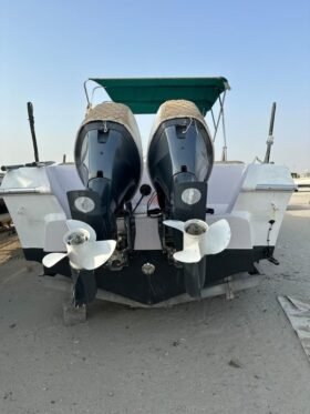 CUSTOM 29 Feet 2009 - Image 4