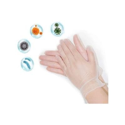 300-Piece Vinyl Disposable Gloves Clear Large - Image 4